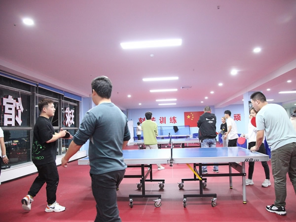 The table tennis match